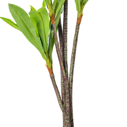 Vickerman 60" Artificial Real Touch Dracaena.