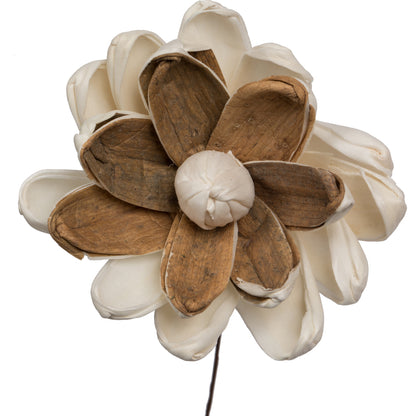 Vickerman Natural Botanicals 4" Lillian Sola Flower on 12" Stem - 12 stems/bag. Dried and preserved.