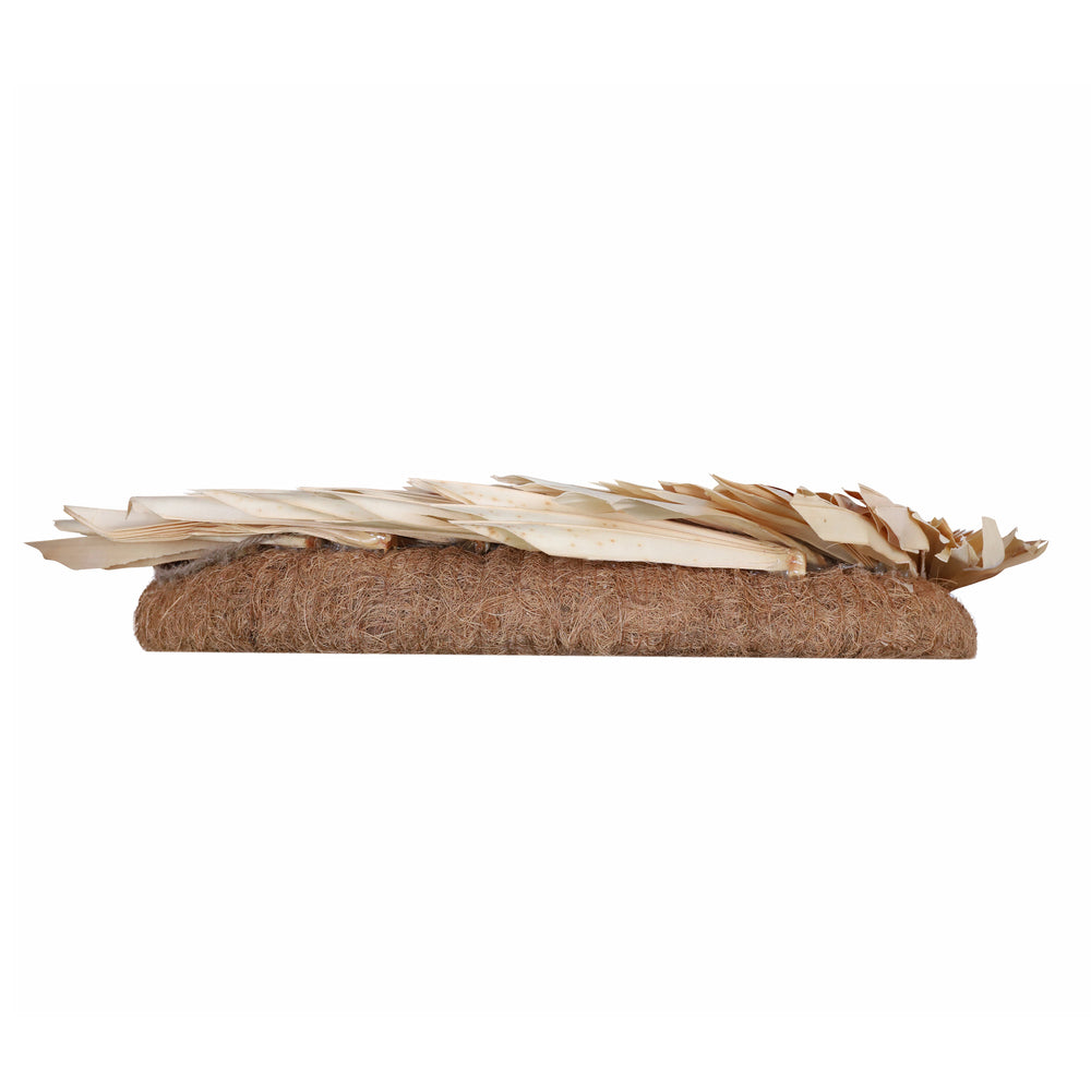 Vickerman Natural Botanicals 24" Bleached Palm Sun Wreath. This wreath measures 24 inches in diameter. It features bleached palm sun leaves on a coco fiber base. This is a dried and preserved natural product.