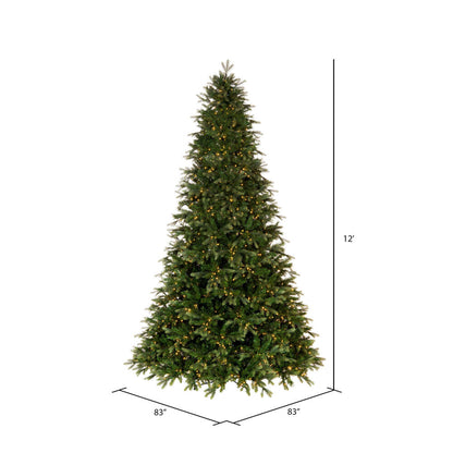 Vickerman 12' x 83" Douglas Fir Artificial Pre-Lit Christmas Tree Warm White LED Mini Lights.