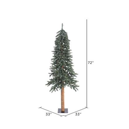 Vickerman 6' Natural Bark Alpine Artificial Christmas Tree Unlit