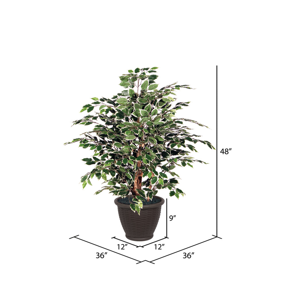 Vickerman 4' Artificial Variegated Ficus Extra Full Bush Brown Plastic Container.