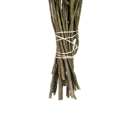 Vickerman 14-18" Spring Green Stoebe Bundle Preserved