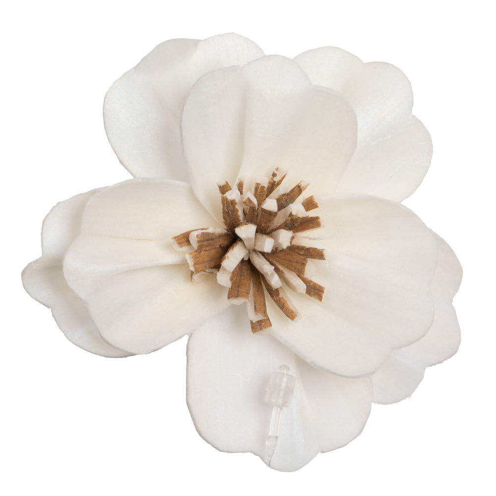 Vickerman Natural Botanicals 1.6"/2.4"/3.2" Assorted Natural Dried Anemone Sola Flower Head 24/bag.