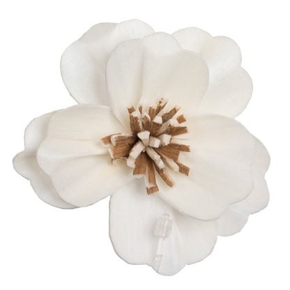 Vickerman Natural Botanicals 1.6"/2.4"/3.2" Assorted Natural Dried Anemone Sola Flower Head 24/bag.