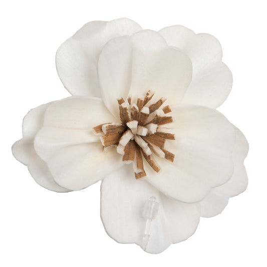 Vickerman Natural Botanicals 1.6"/2.4"/3.2" Assorted Natural Dried Anemone Sola Flower Head 24/bag.
