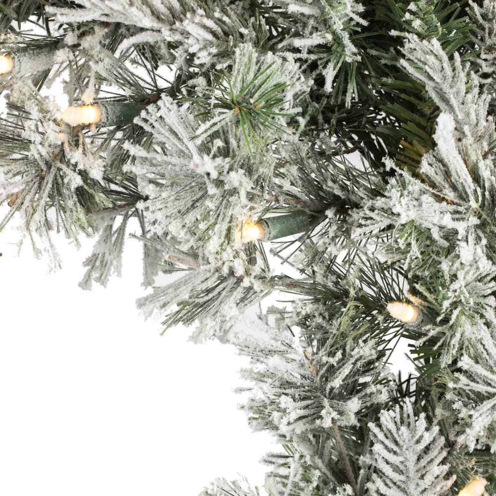 Vickerman 24" Flocked Kiana Artificial Christmas Wreath Warm White Dura-Lit® LED Mini Lights