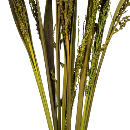 Vickerman 36" Basil Bahia Spears Seeded 9 stems Dried