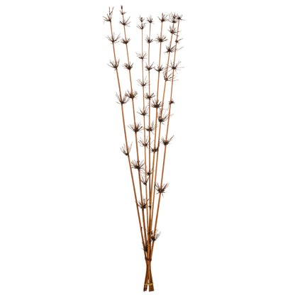 Vickerman 36-40" Brown Star Bamboo Reed 7 stems Dried