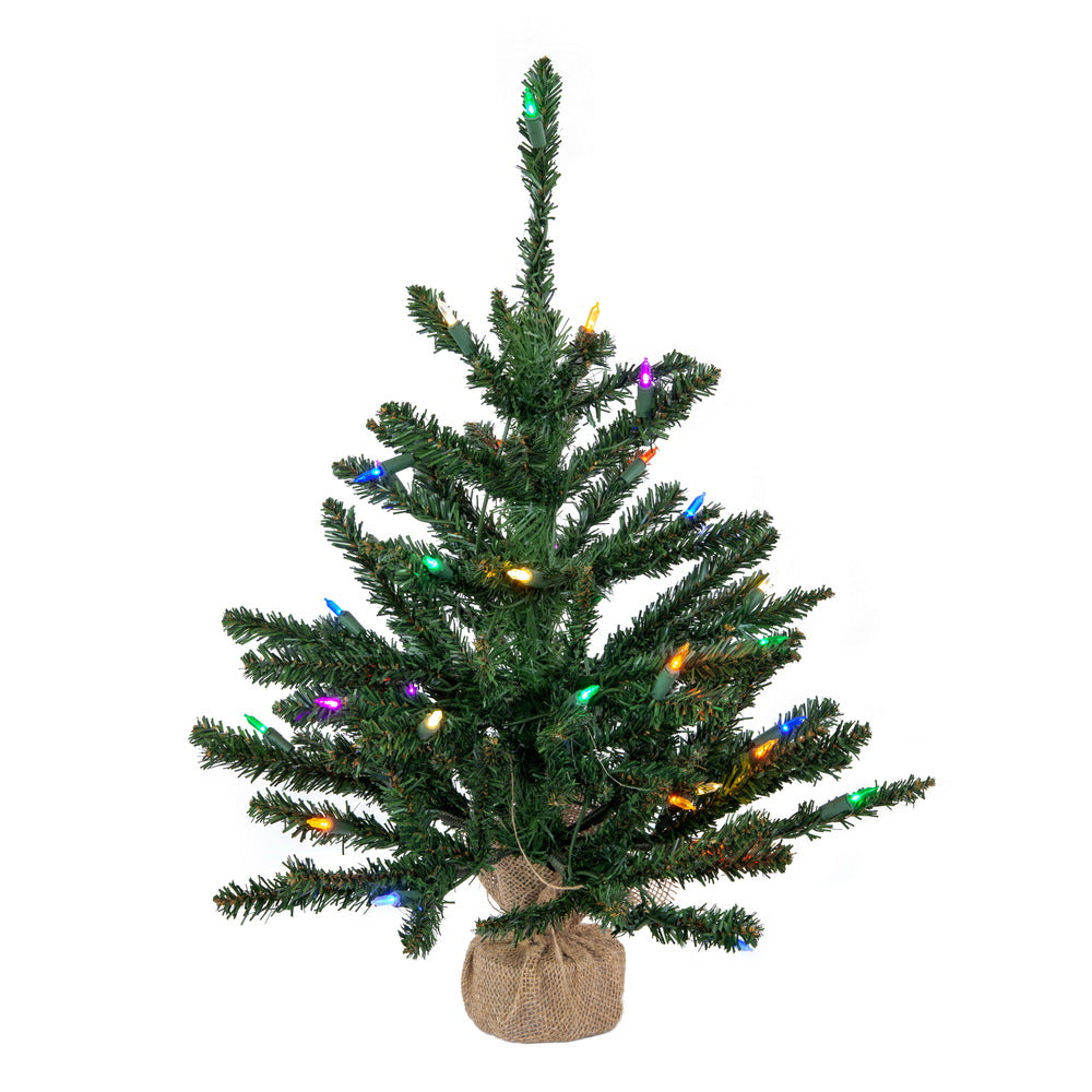 Vickerman 24" Anoka Pine Artificial Christmas Tree Multi-Colored Dura-Lit LED Lights