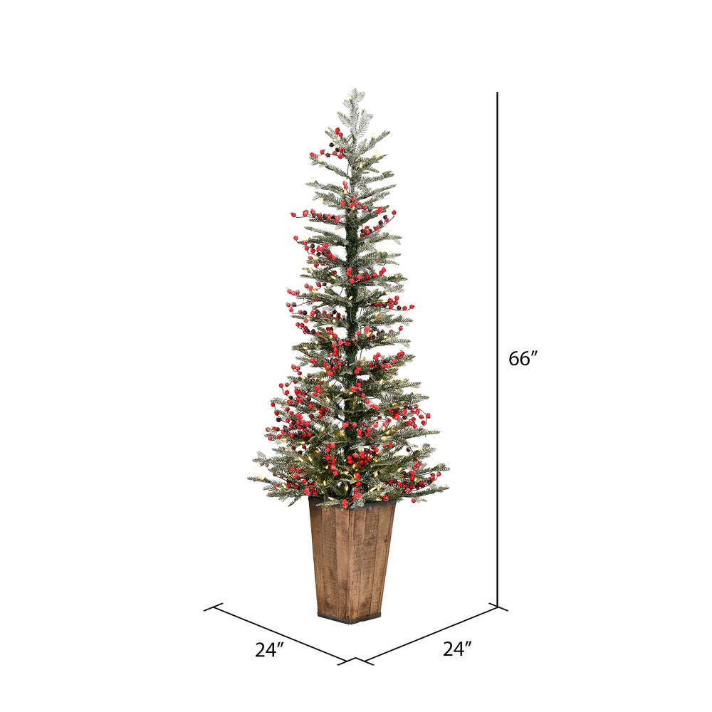 Vickerman 5.5' x 24" Frosted Berry Potted Pine Artificial Christmas Tree Warm White LED Lights