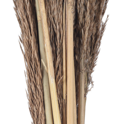 Vickerman Natural Botanicals 39 - 47" Natural Dried Pampas 24 per bag.