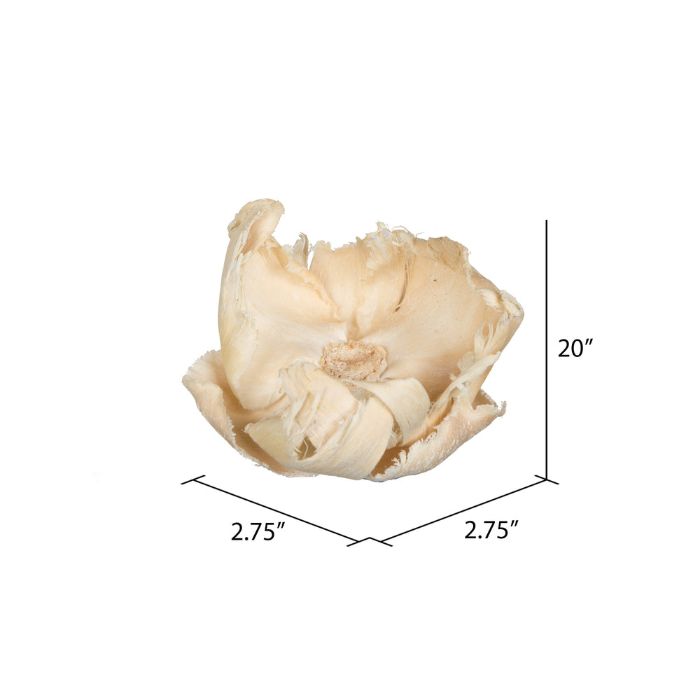 Vickerman Natural Botanicals 2.75" Palm Cap Bleached. Includes 25 pieces per Pack.