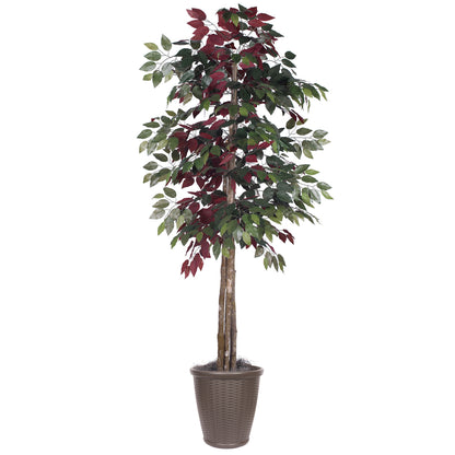 Vickerman 6' Artificial Capensia Deluxe Tree Brown Round Plastic Container.