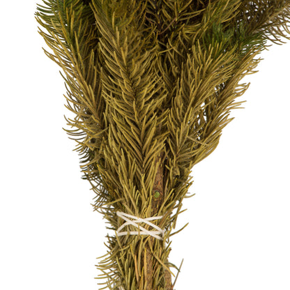 Vickerman 12-16" Yellow/Green Brunia 4 oz Bundle Preserved