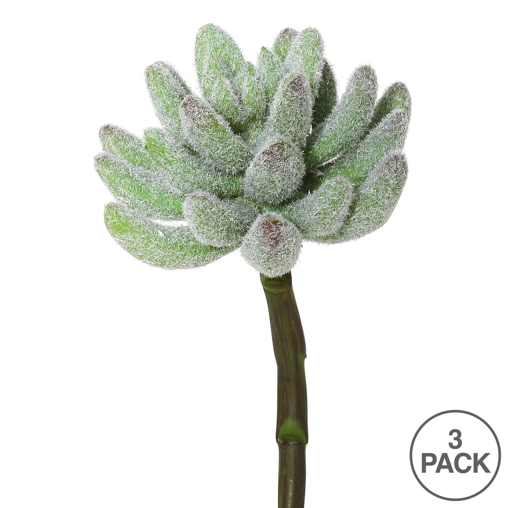 Vickerman 6" Artificial Frosted Crassula Pick Set of 3