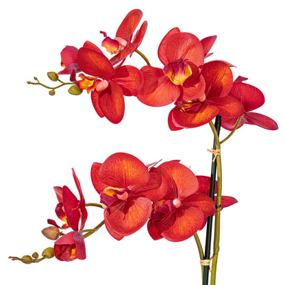 Vickerman 20.5" Artificial Potted Real Touch Red Phalaenopsis Spray.