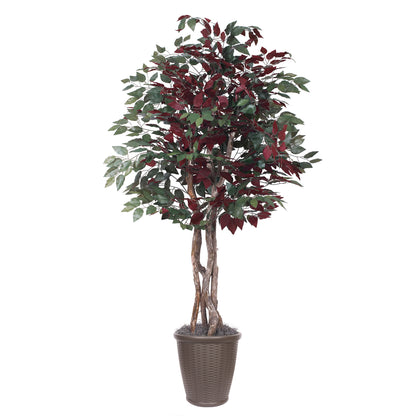 Vickerman 6' Artificial Capensia Executive Tree Brown Round Plastic Container.