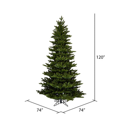 Vickerman 10' x 74" Natural Fraser Fir Artificial Christmas Tree Unlit