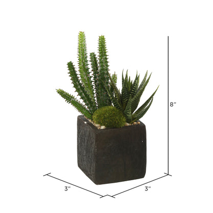 Vickerman 8" Artificial Green Succulent Arrangement Pack of 2