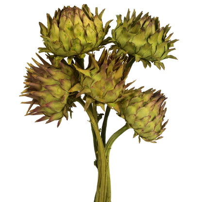 Vickerman 12" Basil Artichoke on a Decorative Natural Stem.  Includes 9 Stems per Pack Dried