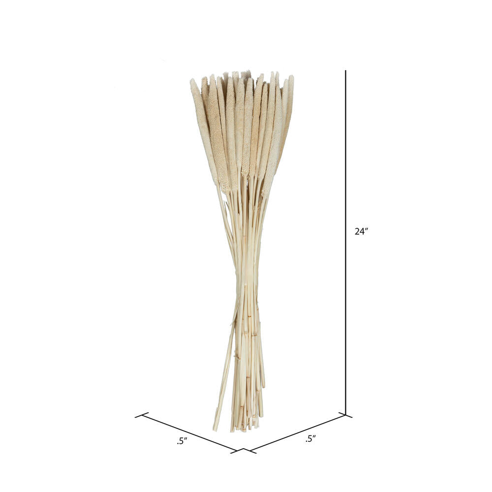 Vickerman Natural Botanicals 24" Babala Bleached. Includes 50 pieces per unit.