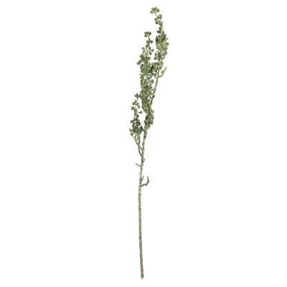 Vickerman 22" Artificial Rust Green Senecio Spray. Includes 6 sprays per pack.