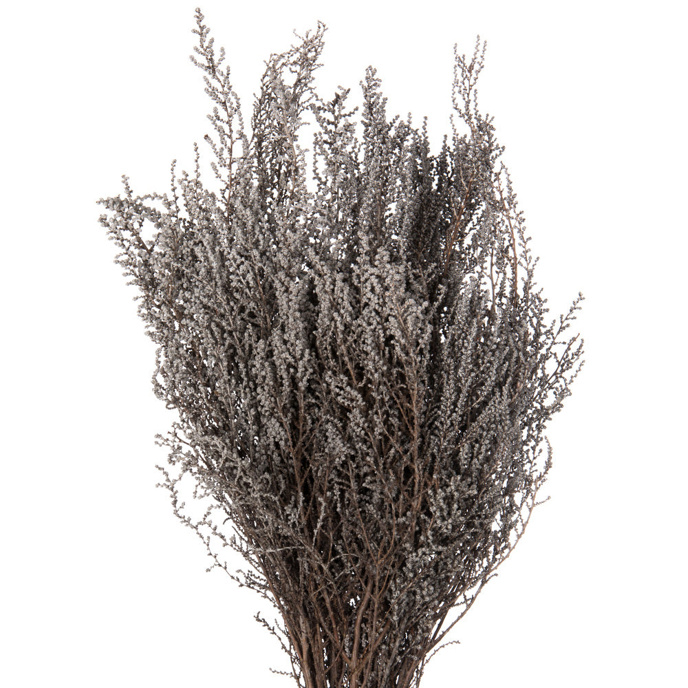 Vickerman 14-18" Silver White Stoebe Bundle