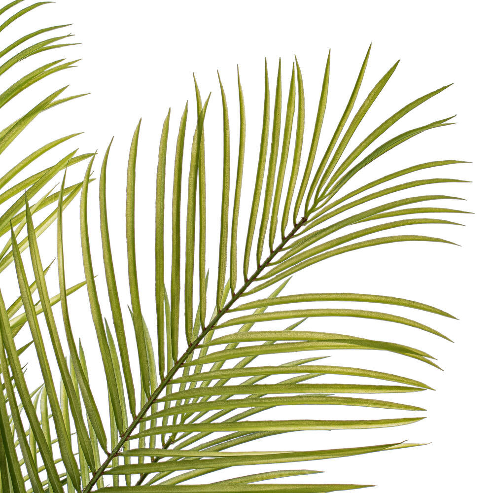 Vickerman 60" Green Areca Palm Plant. This is an artificial plant in a black plastic pot.