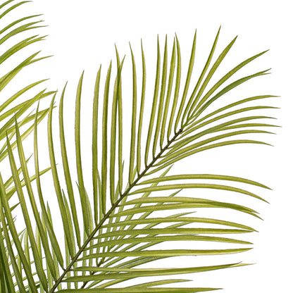Vickerman 60" Green Areca Palm Plant. This is an artificial plant in a black plastic pot.