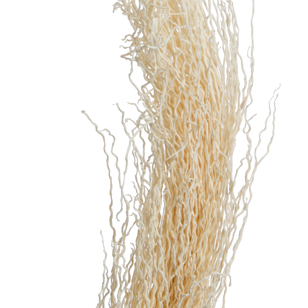 Vickerman Natural Botanicals 8"-12" Khejur Jhar Bleached. Includes 25 pieces per Pack.