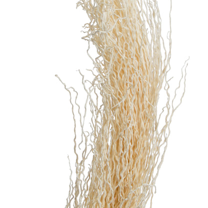 Vickerman Natural Botanicals 8"-12" Khejur Jhar Bleached. Includes 25 pieces per Pack.