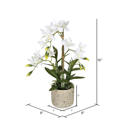 Vickerman 19" Artificial White Deluxe Potted Cycnoches Orchid.