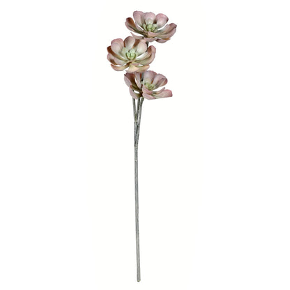 Vickerman 34" Artificial Brown Peperomia Succulent.