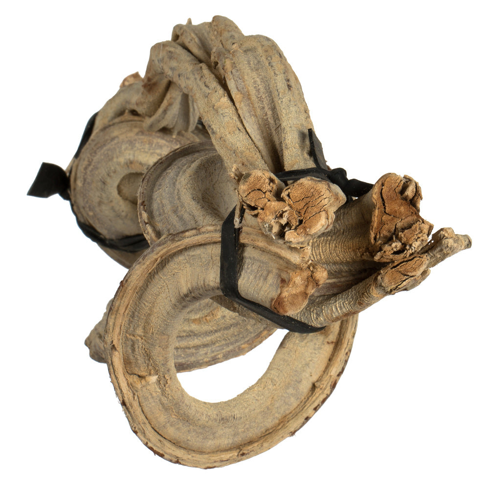 Vickerman 18-22" Bleached Twisted Vine Bundle 3 pack