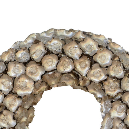 Vickerman 20" Champagne Coco Flower Wreath Dried