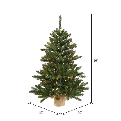 Vickerman 36" Anoka Pine Artificial Christmas Tree Warm White Dura-lit LED Lights