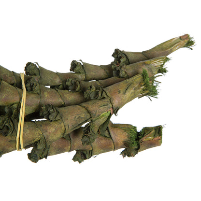 Vickerman 40-48" Green Ladder Branches. Includes 7 Extra Large Straight Branches Dried