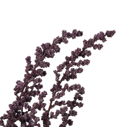 Vickerman 14-18" Violet  Stoebe Bundle