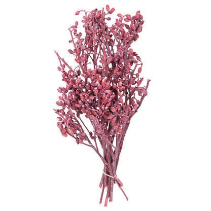 Vickerman Natural Botanicals 12" x 1-3" Eucalyptus Clusters on stem red frosted 16 stems per unit