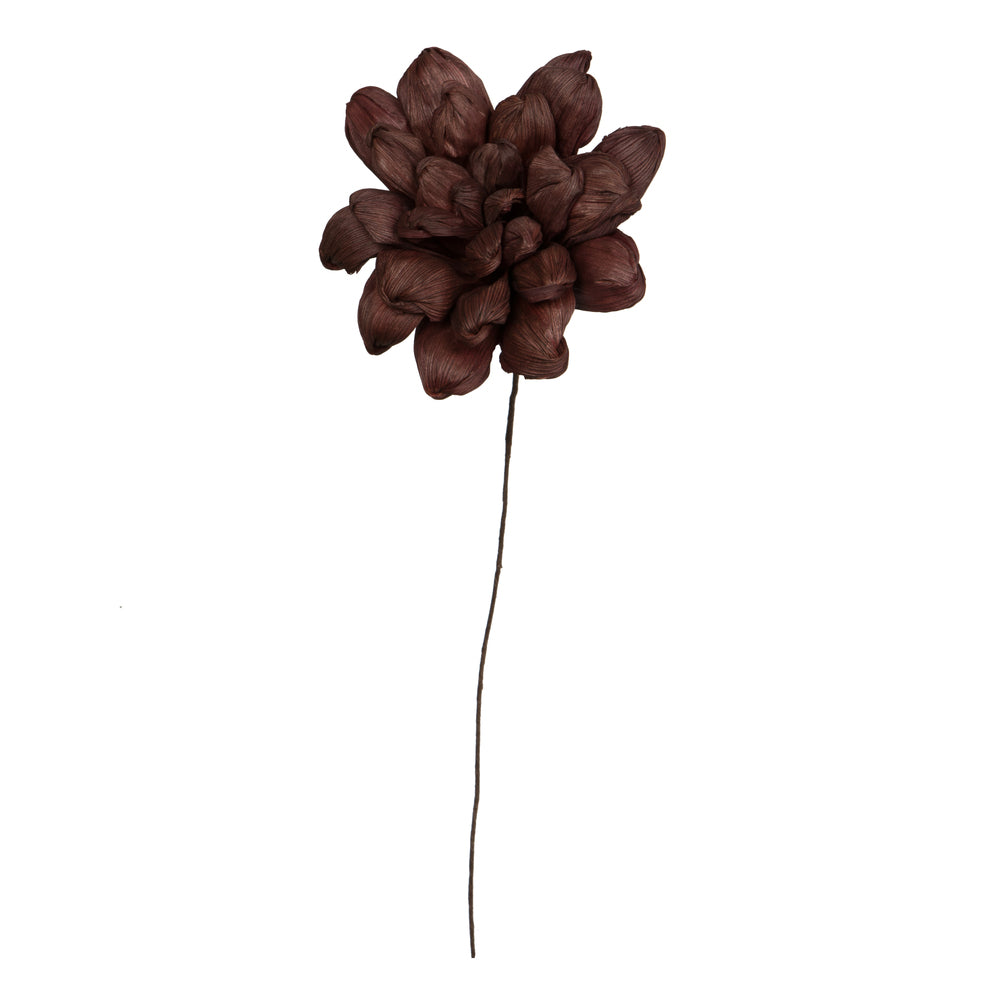 Vickerman Natural Botanicals 6" Brown Maize Dahlia on 18" wire stem- 6 stem/bag. Dried and preserved.