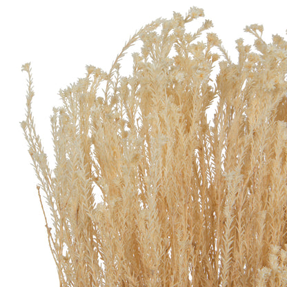 Vickerman Natural Botanicals  Staavia Bleached 100 grams per Unit