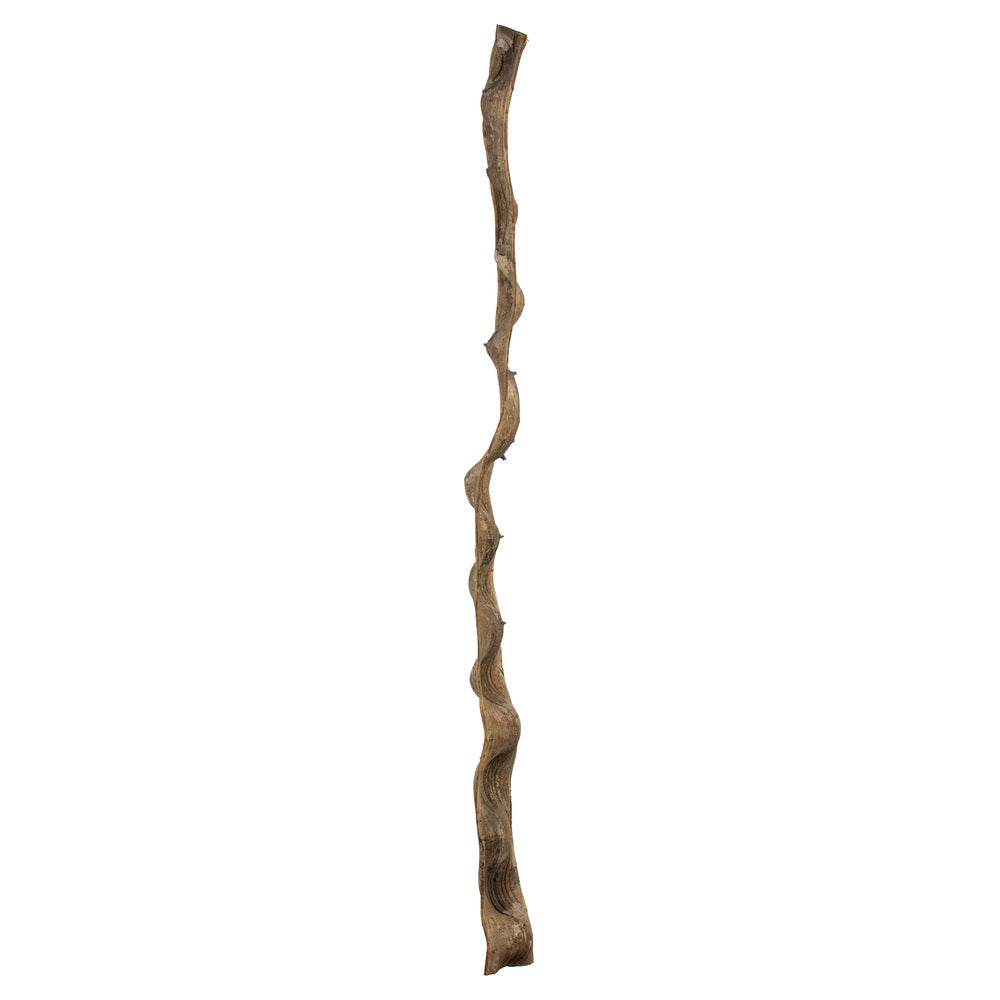 Vickerman 36-40" Natural Monkeys Ladder Vine. Includes 2 Pieces Dried