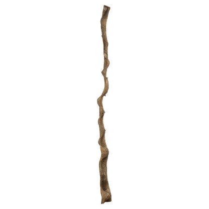 Vickerman 36-40" Natural Monkeys Ladder Vine. Includes 2 Pieces Dried