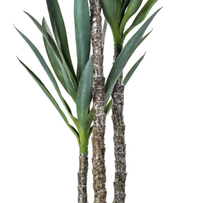 Vickerman 60" Artificial Green Yucca Tree in 8" Black Planters Pot.