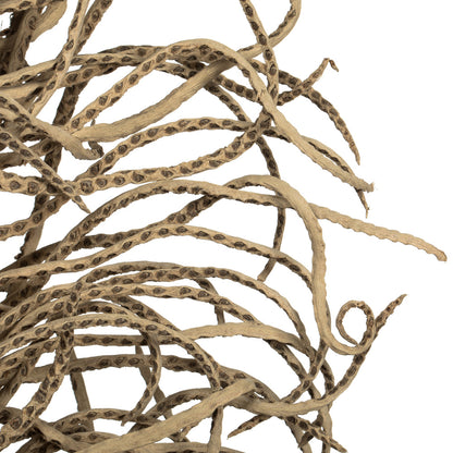 Vickerman 36-40" Natural Medusa Branch - medium 1 piece Dried