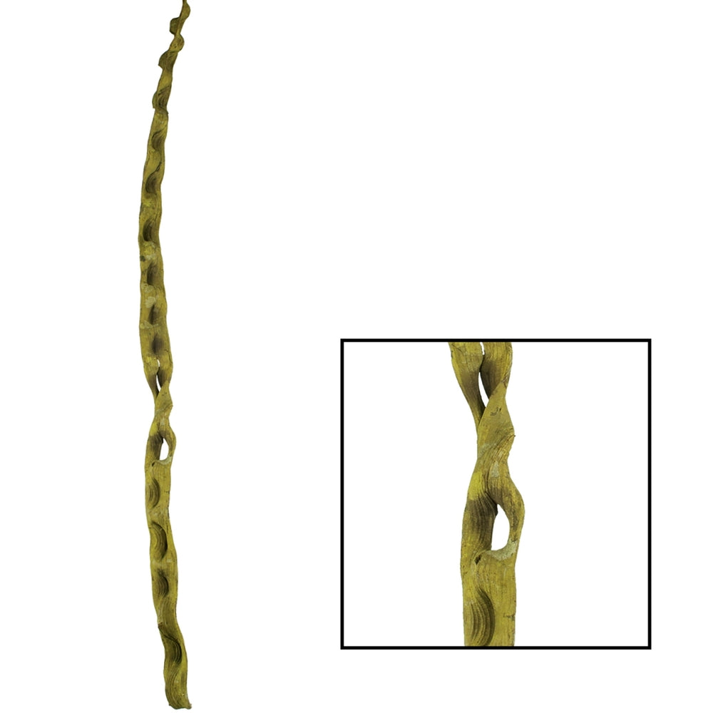 Vickerman 36-40" Basil Monkeys Ladder Vine Pack of 2 Dried