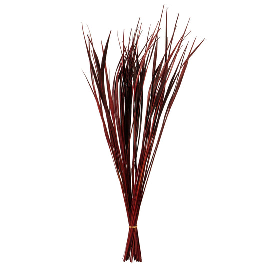 Vickerman 28" Red Splinter Grass 11 oz Bundle Dried