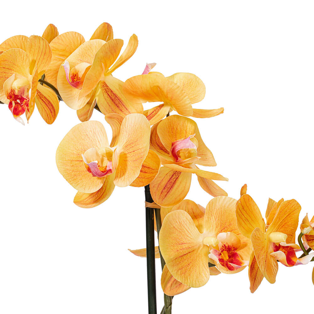 Vickerman 22" Artificial Potted Real Touch Coral Phalaenopsis Spray.