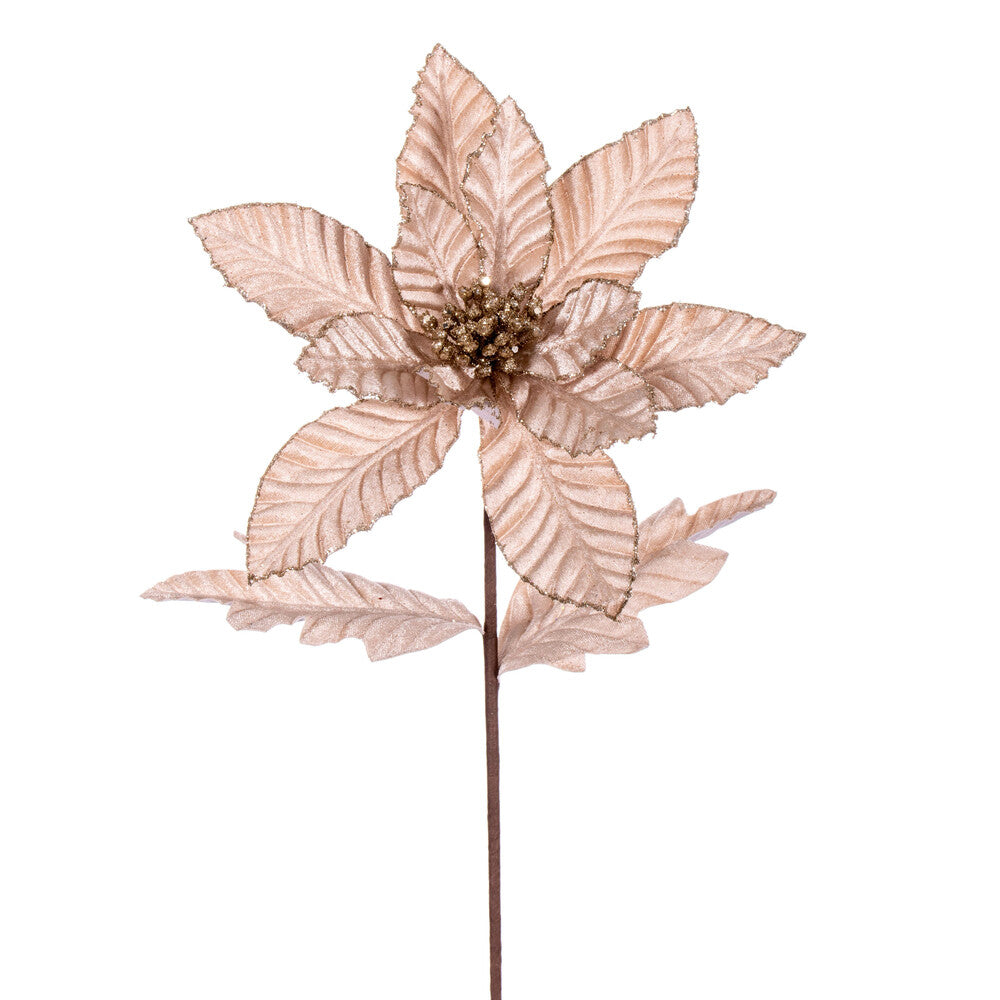 Vickerman 22" Champagne Velvet Glitter Trim Poinsettia 6 per bag.